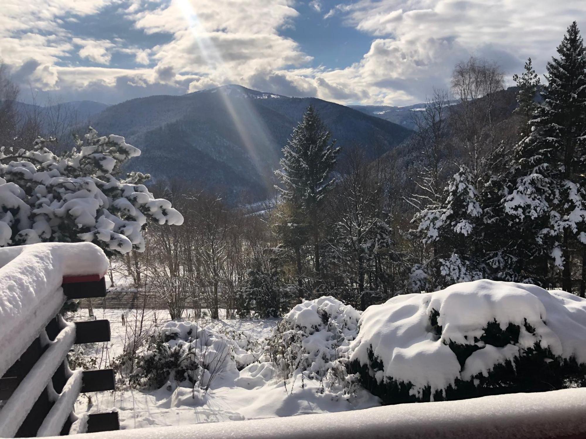 Chalet Braunkopf Alsace *