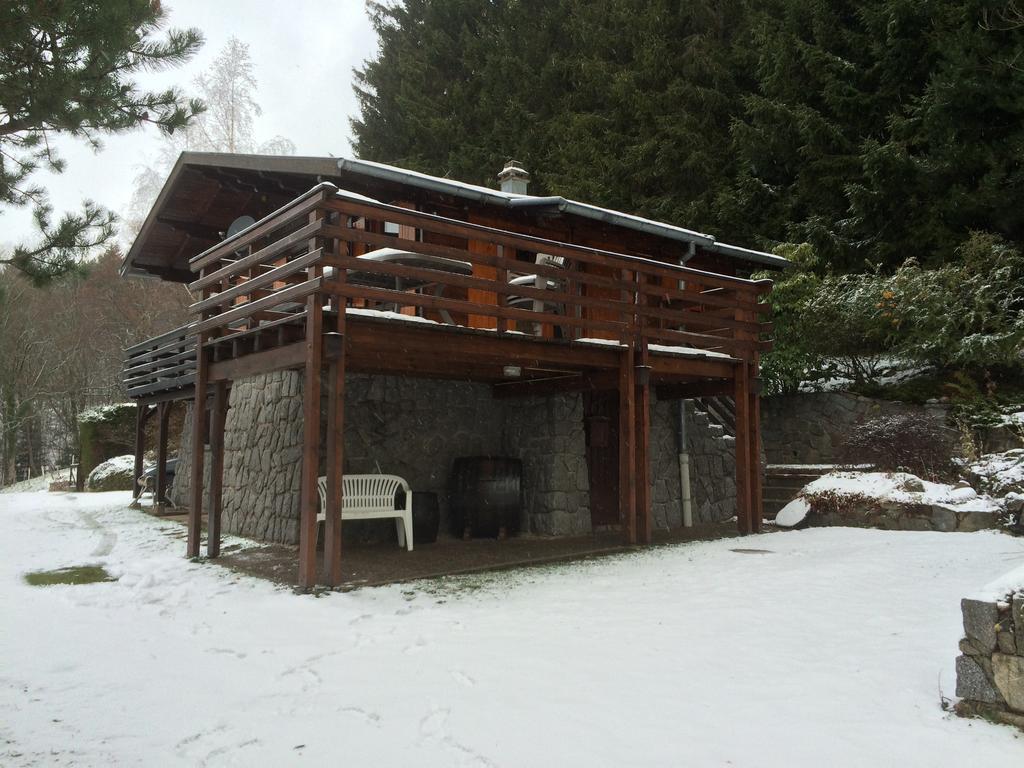 Chalet Braunkopf Alsace Muhlbach-sur-Munster