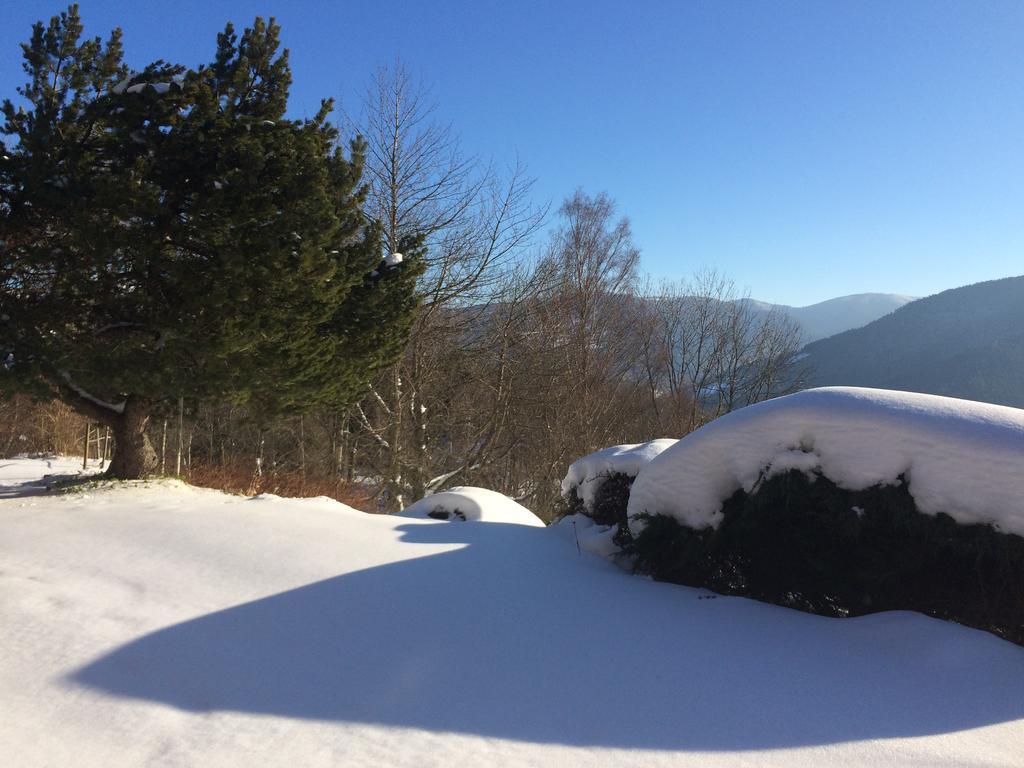 Chalet Braunkopf Alsace Muhlbach-sur-Munster