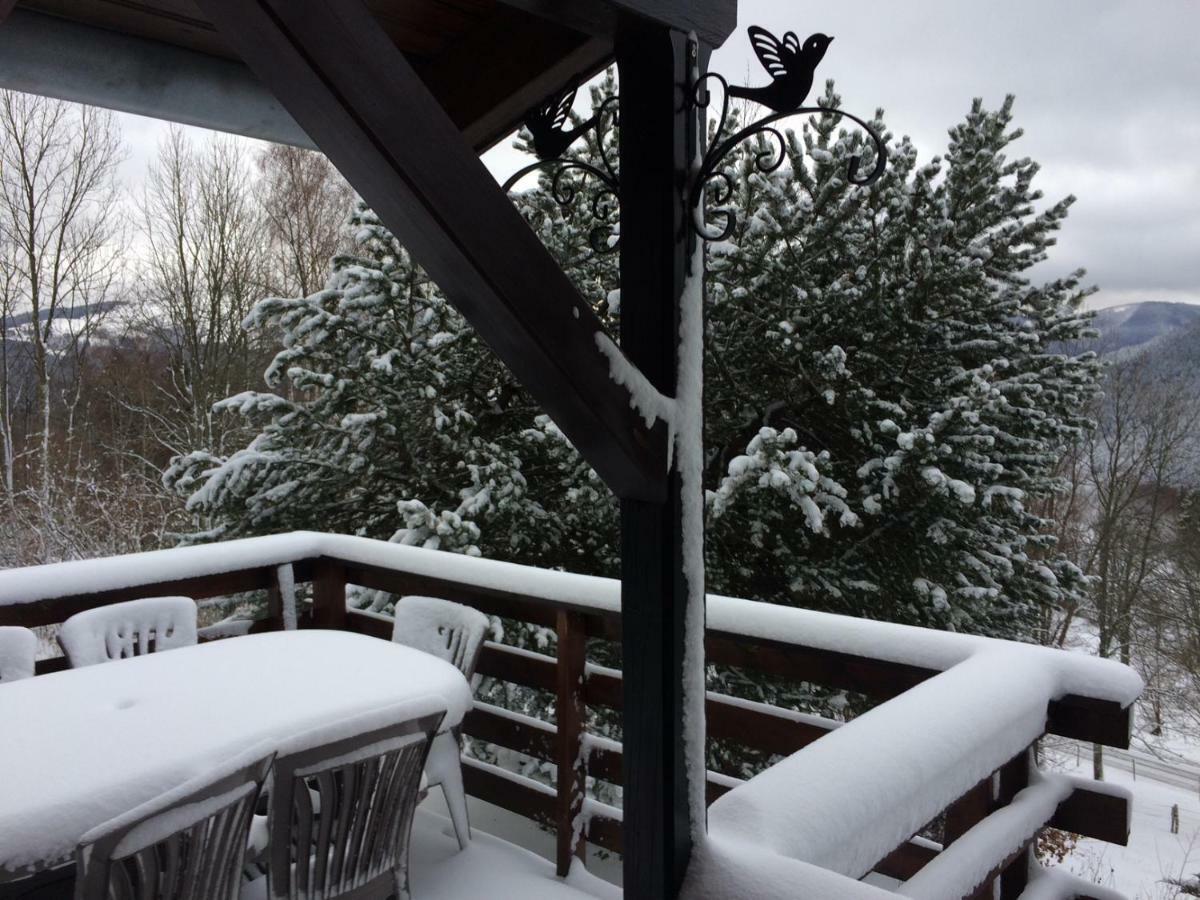 Braunkopf Alsace Chalet *