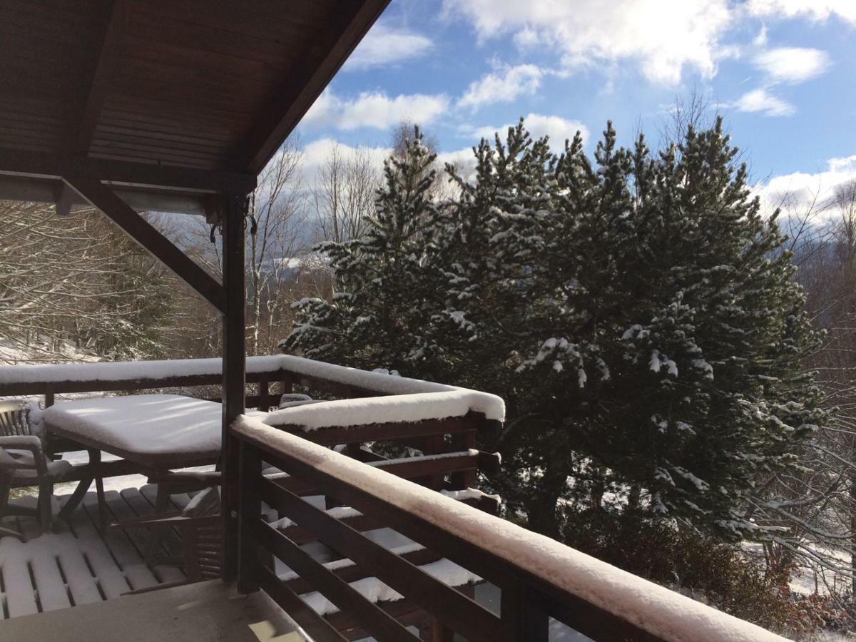 Chalet Braunkopf Alsace