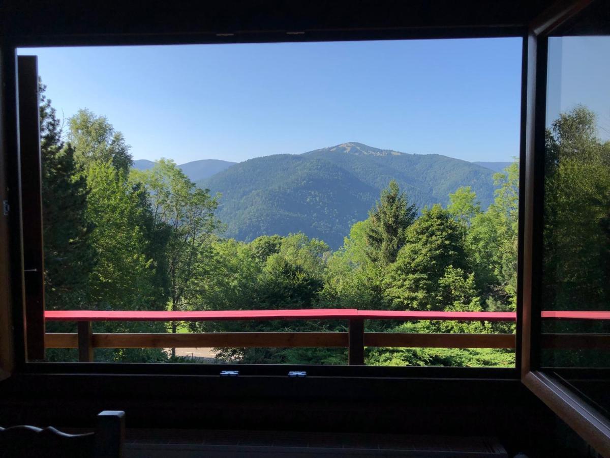 Braunkopf Alsace Chalet *